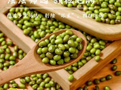 新鲜优质绿豆一件代发新货农家绿豆汤绿豆粥绿豆糕原料图2