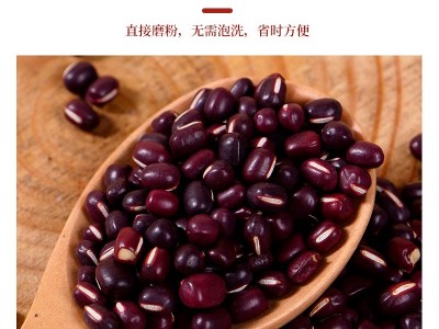 批发熟红小豆 低温烘焙熟五谷杂粮磨粉原料 现磨豆浆原料红豆图3