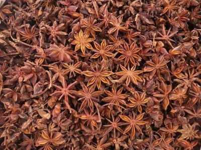 广西八角大料批发花椒桂皮正宗火锅烧烤炒菜腌肉香料调料卤水图2