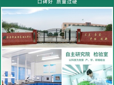 澳甜糯75白玉米种子高大饱满甜玉米种籽四季香甜软糯玉米种孑大全图4