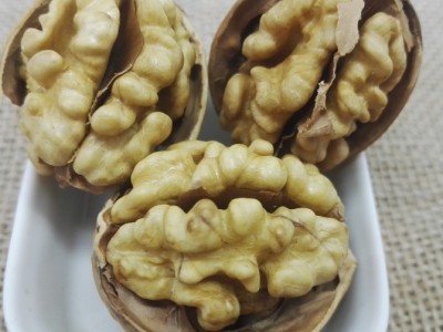 厂家批纸皮核桃干果坚果零食休闲食品 一件代发 包邮图3