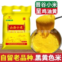 山西黄小米正宗晋谷21号小米新小米农家自种繁峙羊肥小米月子米