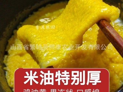 山西黄小米正宗晋谷21号小米新小米农家自种繁峙羊肥小米月子米图2