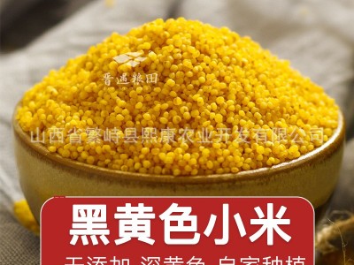 山西黄小米正宗晋谷21号小米新小米农家自种繁峙羊肥小米月子米图4