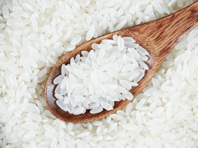 新款东北黑龙江特产五常大米真空包装10斤装现磨现发当季新米批发图4