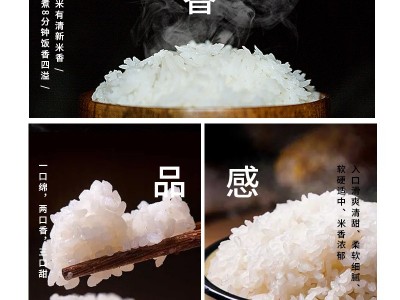 2025东北延边大米5千克延边小粒香米圆粒米家庭装图3