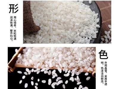 2025东北延边大米5千克延边小粒香米圆粒米家庭装图4