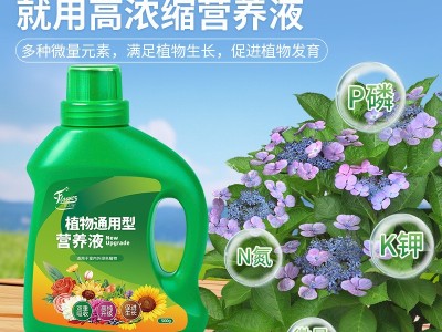 植物营养液通用型家用花肥通用化花卉盆栽绿萝叶绿植富贵竹肥料图4