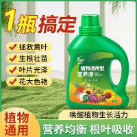 植物营养液通用型家用花肥通用化花卉盆栽绿萝叶绿植富贵竹肥料