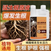 定制猛生根原液强力生根壮苗剂生根粉液移栽扦插果树花卉通用促根