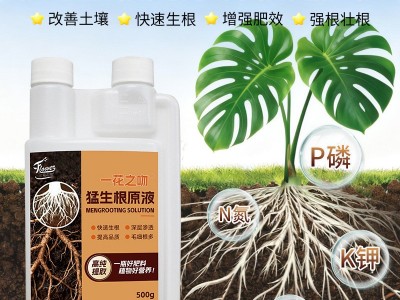 定制猛生根原液强力生根壮苗剂生根粉液移栽扦插果树花卉通用促根图4