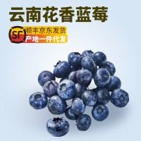 【京东快递】云南花香蓝莓L25鲜果新鲜水果中特大果当季时令批发