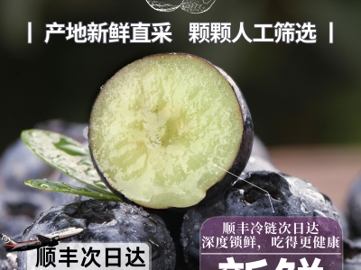 【京东快递】云南花香蓝莓L25鲜果新鲜水果中特大果当季时令批发图2