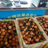 南丰桔销量