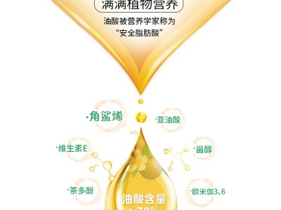 纯山茶油物理冷榨野山茶籽油一级食用油茶子油厂家直销量大价优图2