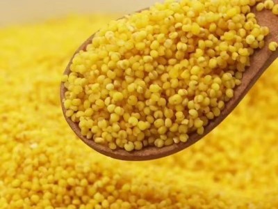 东北黄小米新米3斤手提袋装五谷杂粮养胃黄小米月子粥农家特产图3