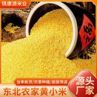 东北黄小米新米3斤手提袋装五谷杂粮养胃黄小米月子粥农家特产