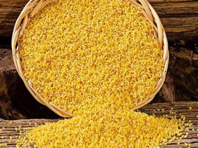 东北黄小米新米3斤手提袋装五谷杂粮养胃黄小米月子粥农家特产图4