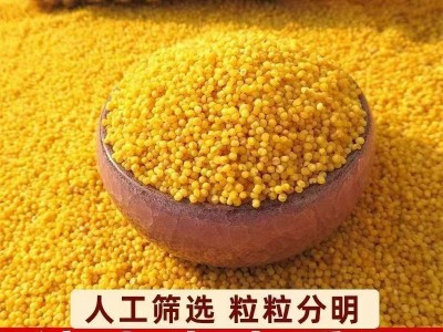 东北黄小米新米3斤手提袋装五谷杂粮养胃黄小米月子粥农家特产图2