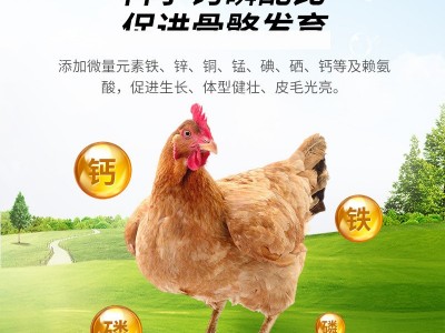 4%蛋鸡育成预混料饲料自配营养复合青年期预混料土鸡柴鸡 预混料图4