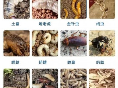 辛硫磷颗粒剂土壤专用农药杀蛆防虫剂大全专通杀地下害虫批发零售图3