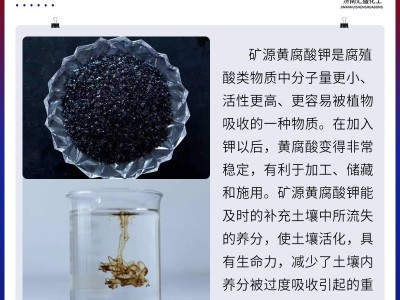 现货批发抗硬水抗絮凝矿源黄腐酸钾滴灌喷施全水溶矿源黄 腐殖酸钾图2
