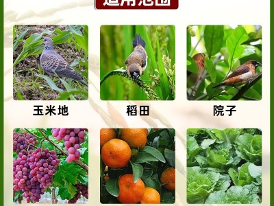 鸟克驱鸟剂作物果园大田保护剂驱赶鸟类动物驱鸟药可拌种喷雾批发图4