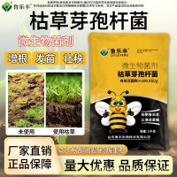 鲁乐丰枯草芽孢杆菌蔬菜果树微生物菌剂养地抗重茬全水溶