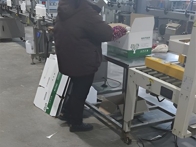 钙镁硼锌铁中微量元素水溶肥现货液体叶面肥农用冲施肥钙镁硼锌铁图2