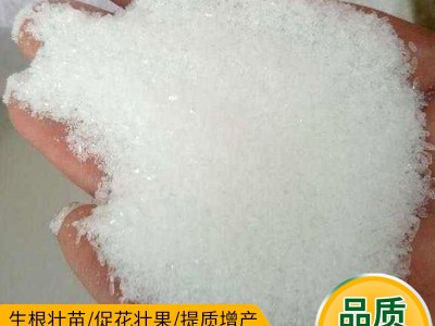 农用批发磷酸二氢钾果树叶面肥增产水溶性肥农业培养剂磷酸二氢钾图2