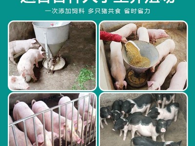 猪槽干湿喂料器自动下料器猪食槽小猪料槽猪料槽育肥料槽养猪设备图3