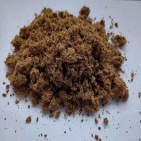 厂家供应 膨化棉籽 反刍动物饲料