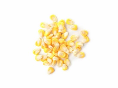 玉米种子大全糯玉米种子水果玉米种子甜玉米种子彩糯甜糯玉米种子图5