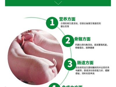 10%后备母猪预混料料备孕料大猪料妊娠料齐鲁中牧饲料级孕产专用图2