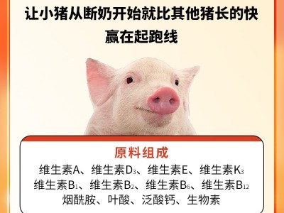 维诺仔猪多维小猪开口料维生素预混料助力生长减少应激饲料添加剂图3