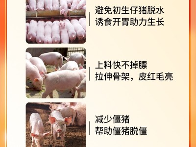 维诺仔猪多维小猪开口料维生素预混料助力生长减少应激饲料添加剂图4