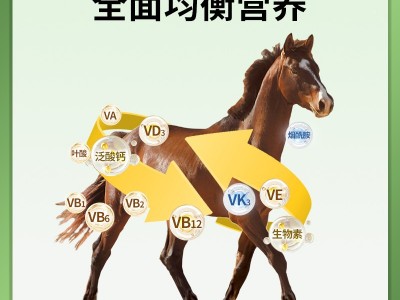马用多维 维生素预混料补充体能改善生长催肥增重饲料添加剂图3