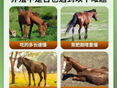 马用多维 维生素预混料补充体能改善生长催肥增重饲料添加剂图2