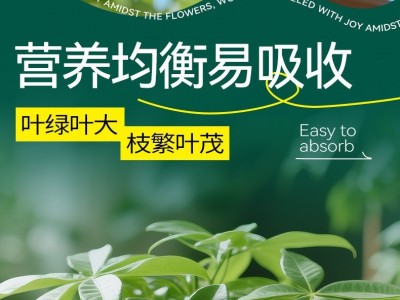 发财树专用肥颗粒有机肥料绿植花卉幸福树盆栽肥缓释肥料绿叶壮根图3