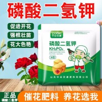 磷酸二氢钾肥料花卉专用农用养植物盆栽促花磷钾肥水溶叶面肥