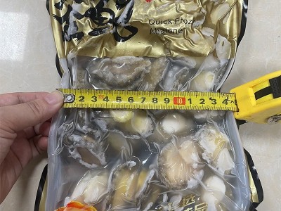 黄金鲍去壳去内脏新鲜冷冻鲍鱼纯肉鲍鱼净肉小鲍鱼鲜活速冻海鲜图2