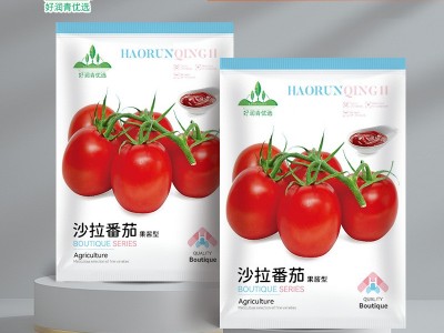 沙拉番茄种子果酱加工番茄酱种籽红色西红柿种孑春季四季菜籽菜种图2