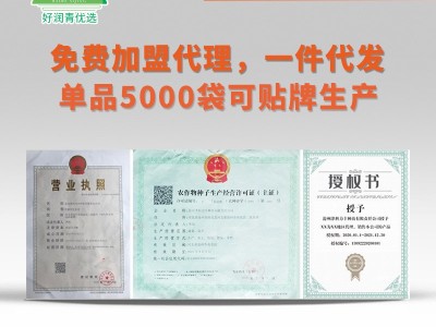 沙拉番茄种子果酱加工番茄酱种籽红色西红柿种孑春季四季菜籽菜种图3