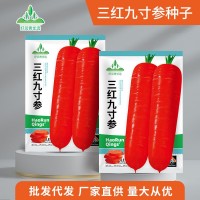 三红九寸参胡萝卜种子红萝卜红皮红心水果胡罗卜种孑秋季菜种子籽