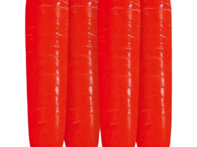 三红九寸参胡萝卜种子红萝卜红皮红心水果胡罗卜种孑秋季菜种子籽图5