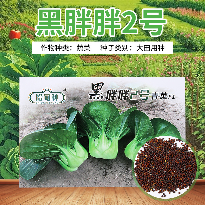 O1CN01KTkRmE213508U7kGi_!!2219770306928-0-cib