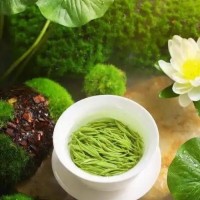 私藏西安品茶工作室攻略从选茶到品鉴解锁沉浸式茶文化体验