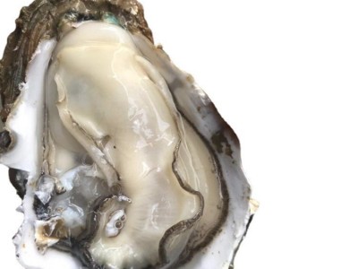 鲜活广东湛江贝类牡蛎生蚝半壳带壳100斤商用生蚝地摊烧烤批发图5