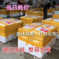 深圳牡蛎湛江生蚝批发鲜活水产海鲜新鲜台山带壳烧烤一箱100斤