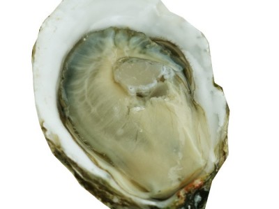 深圳牡蛎湛江生蚝批发鲜活水产海鲜新鲜台山带壳烧烤一箱100斤图4